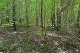 144 Mountain Creek Road - Photo 8