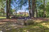 711 Hellams Street - Photo 10