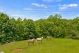 5230 Olden Porter Road - Photo 44