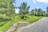 00 Stomp Springs Drive - Photo 17