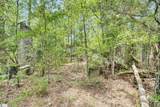 00 Stomp Springs Drive - Photo 22