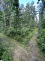 2318 Beaver Dam Creek Road - Photo 16
