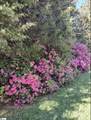 84 Benson Road - Photo 30