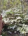 84 Benson Road - Photo 31