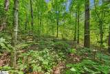 14 Alsace Way - Photo 8