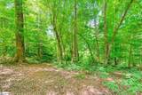 0 Long Branch Road - Photo 5