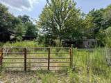 659 Dovefield Road - Photo 12