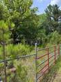 659 Dovefield Road - Photo 13