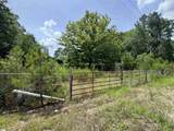 659 Dovefield Road - Photo 14