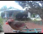 414 South Cove Road - Photo 42