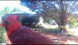 414 South Cove Road - Photo 43