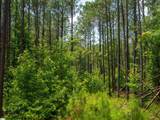 00 Cheek Road - Photo 17