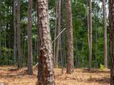 00 Cheek Road - Photo 19