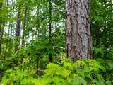 00 Cheek Road - Photo 22