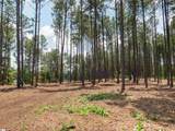 00 Cheek Road - Photo 11