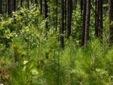 00 Cheek Road - Photo 17