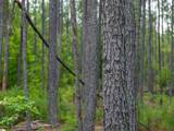 00 Cheek Road - Photo 16