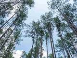 00 Cheek Road - Photo 23