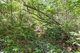 313 Arledge Road - Photo 18