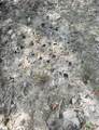 0 Lee Street - Photo 20