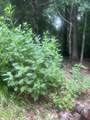 00 Arrowhead Drive - Photo 27