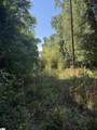 0 Buzhardt Road - Photo 3