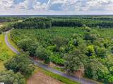  Charlie Rast Road - Photo 11