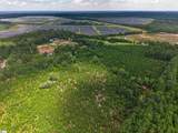  Charlie Rast Road - Photo 6