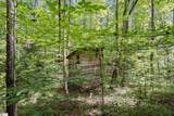 338 Little Crowe Creek Road - Photo 21