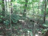 00 Gauley Falls Road - Photo 1