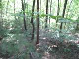 00 Gauley Falls Road - Photo 11
