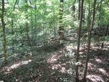 00 Gauley Falls Road - Photo 12