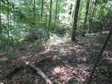 00 Gauley Falls Road - Photo 14