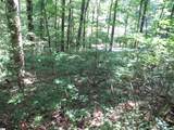 00 Gauley Falls Road - Photo 15
