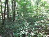 00 Gauley Falls Road - Photo 16