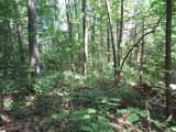 00 Gauley Falls Road - Photo 18