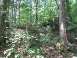 00 Gauley Falls Road - Photo 19