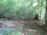 00 Gauley Falls Road - Photo 2