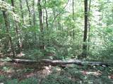 00 Gauley Falls Road - Photo 6