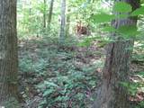 00 Gauley Falls Road - Photo 9