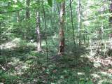 00 Gauley Falls Road - Photo 15