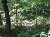00 Gauley Falls Road - Photo 17
