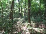 00 Gauley Falls Road - Photo 20