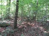 00 Gauley Falls Road - Photo 3