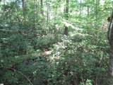 00 Gauley Falls Road - Photo 7