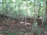 00 Gauley Falls Road - Photo 8