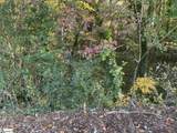  Brookforest Drive - Photo 1
