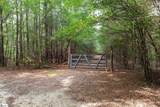 737 Burnt Mill Creek Road - Photo 12