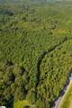 737 Burnt Mill Creek Road - Photo 21
