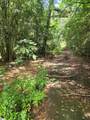 TBD Old Piedmont Highway - Photo 4